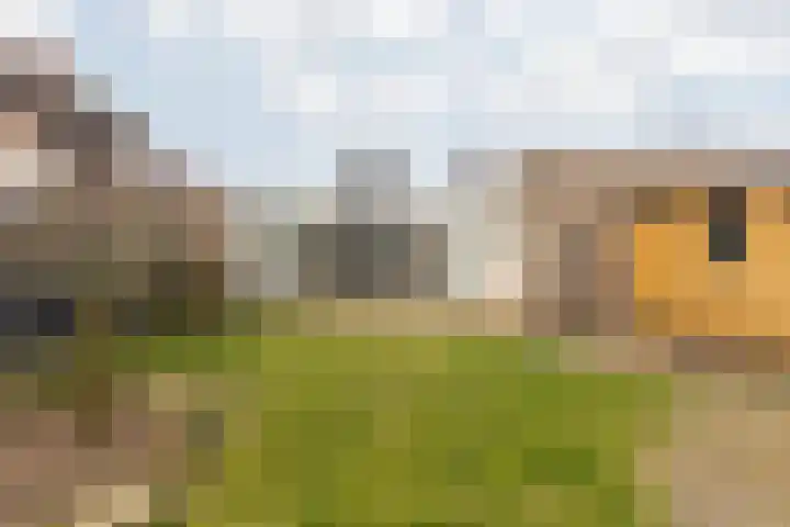 Bellstraat 4 Sittard thumbnail 29