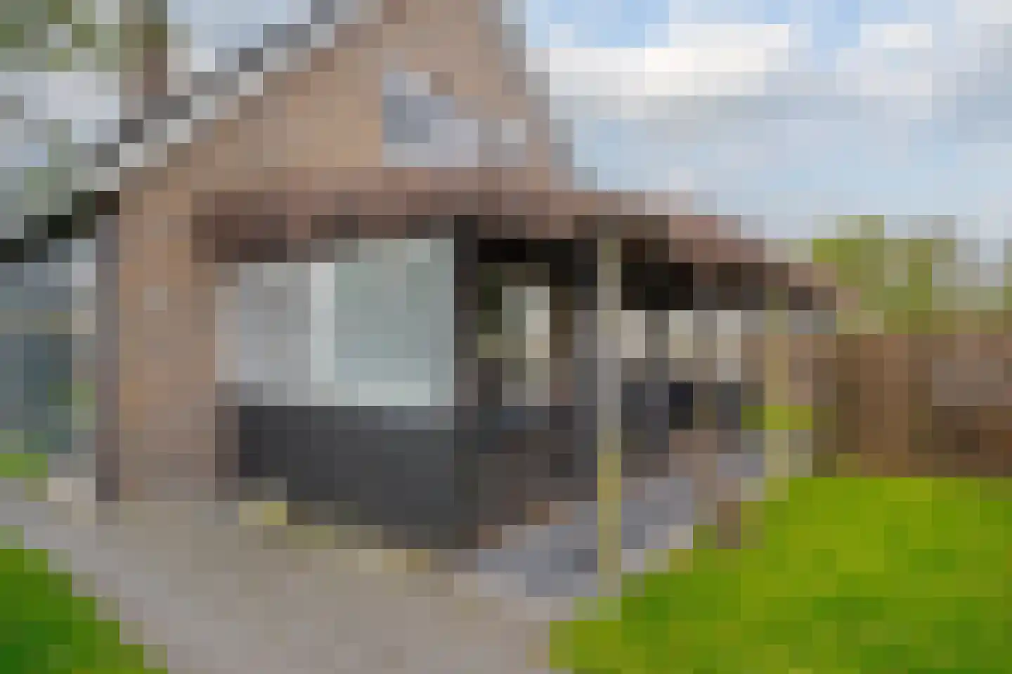 Bellweg 4 Beilen thumbnail 22
