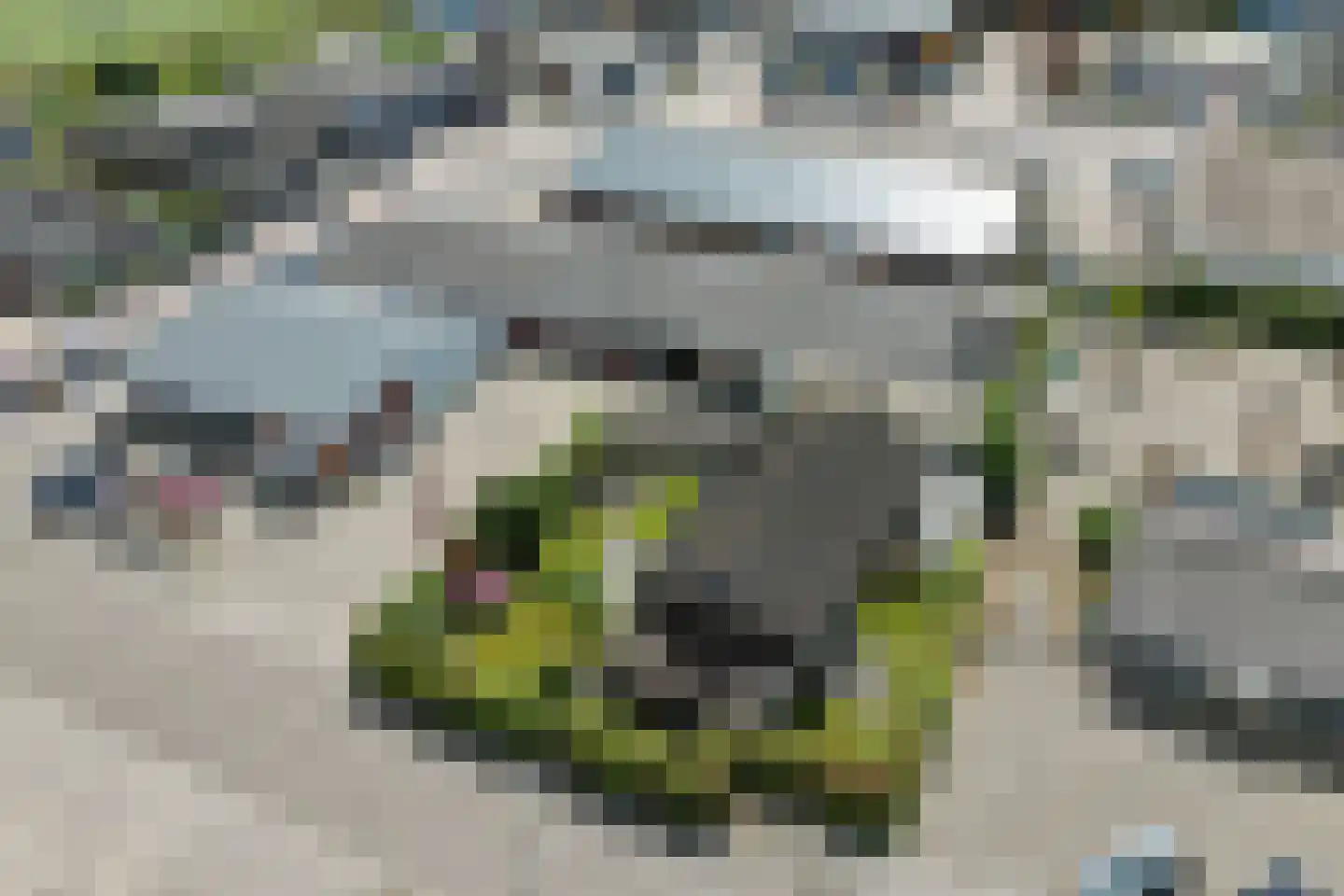 Bellweg 4 Beilen thumbnail 23