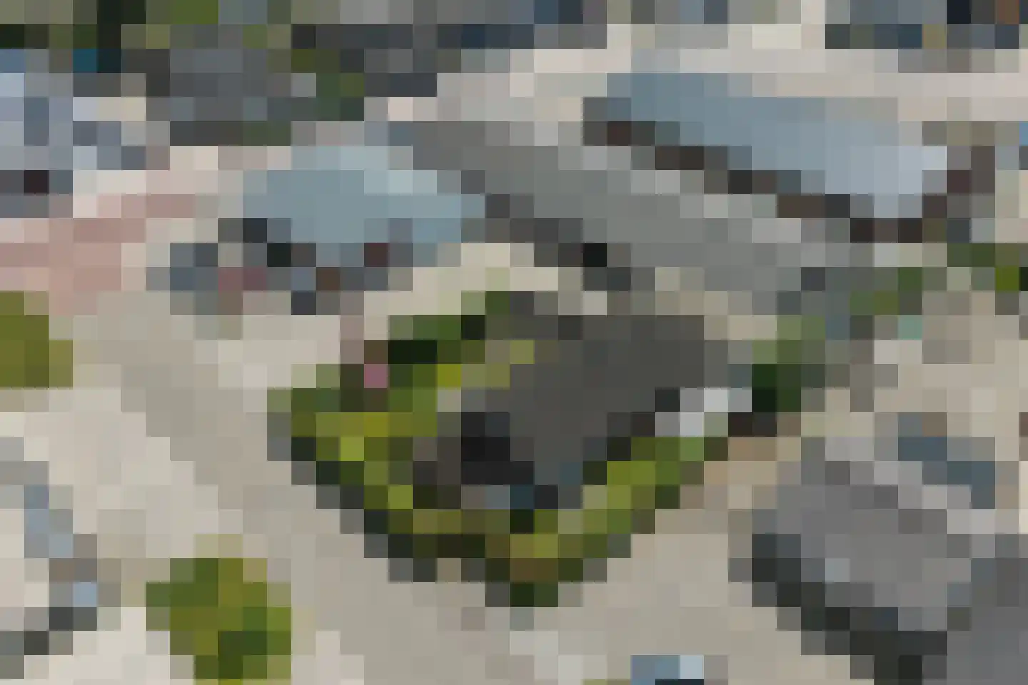 Bellweg 4 Beilen thumbnail 38