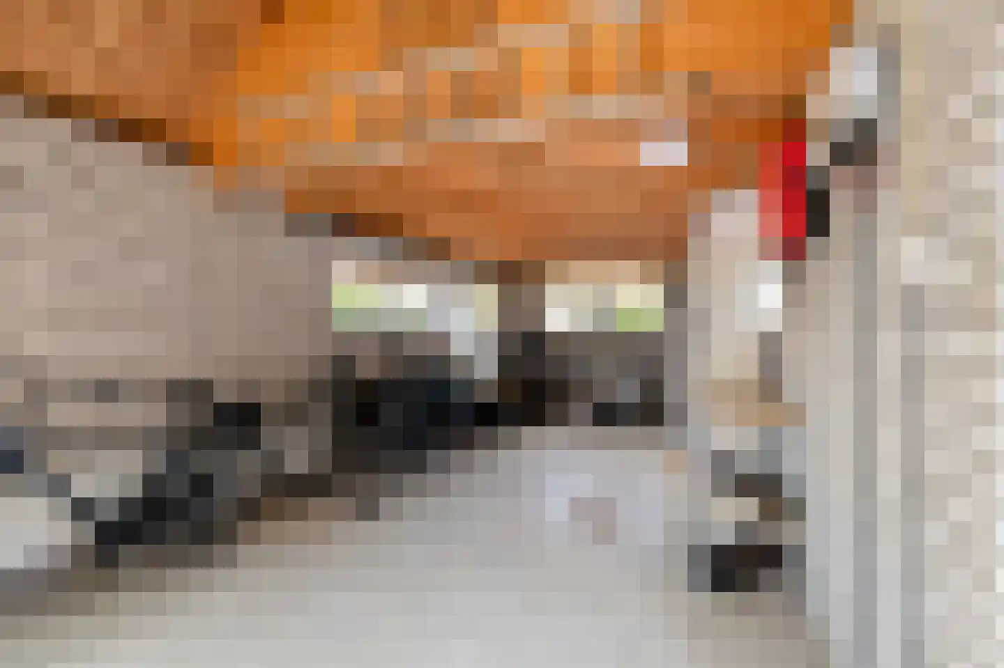 Belt 68 Hippolytushoef thumbnail 44