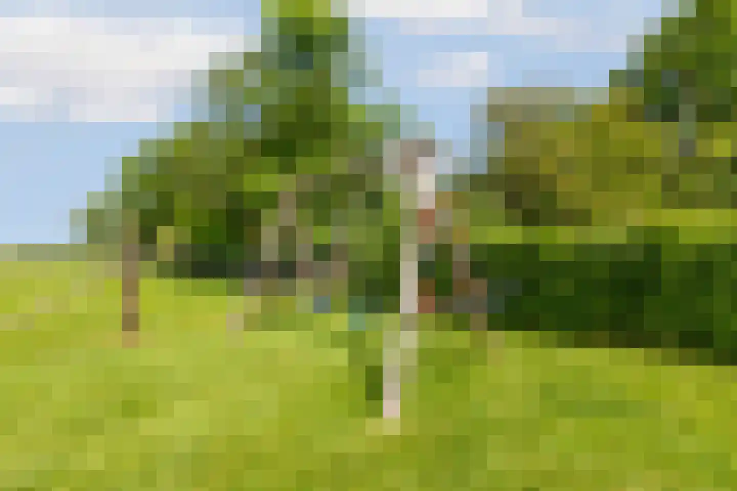 Belt 68 Hippolytushoef thumbnail 51