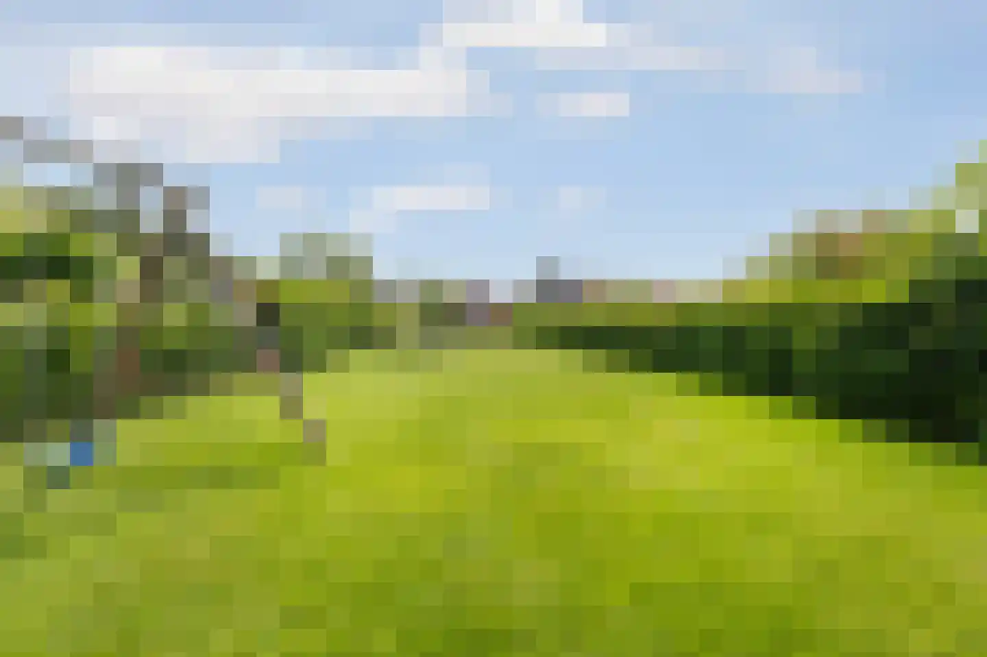Belt 68 Hippolytushoef thumbnail 52