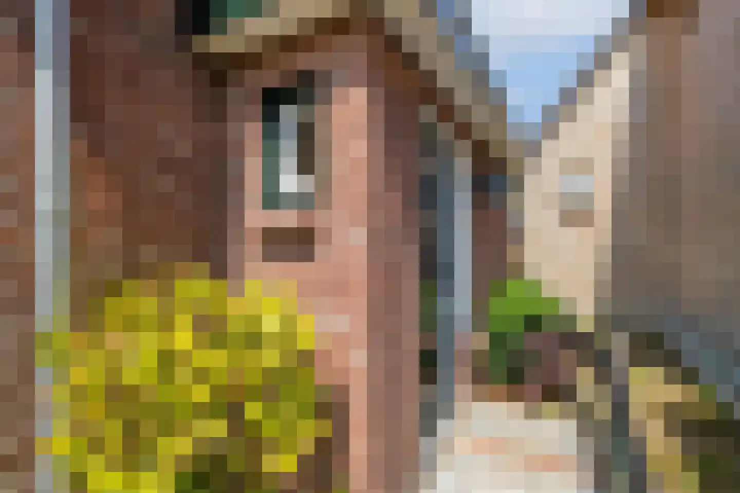 Belt 68 Hippolytushoef thumbnail 8