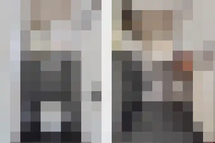 Belt 8 Hippolytushoef thumbnail 10