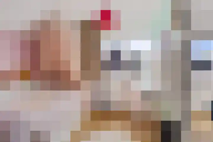 Belt 8 Hippolytushoef thumbnail 13