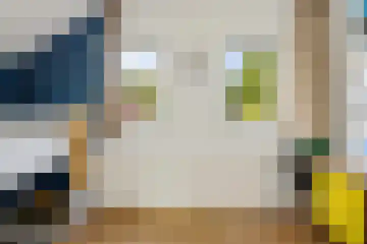 Belt 8 Hippolytushoef thumbnail 14