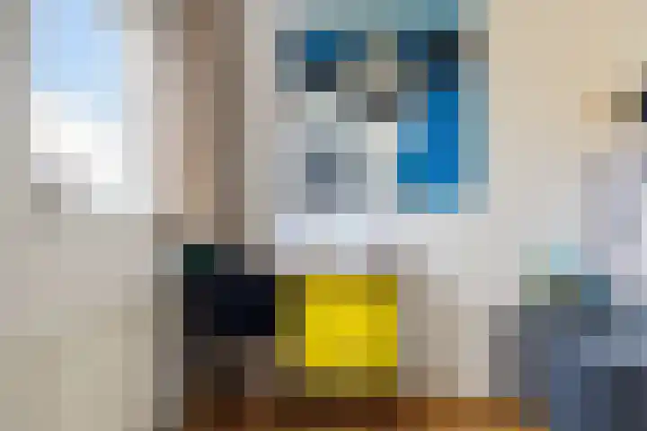 Belt 8 Hippolytushoef thumbnail 16