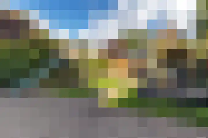 Belt 8 Hippolytushoef thumbnail 18