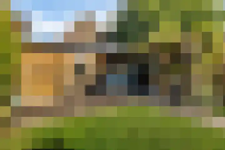 Belt 8 Hippolytushoef thumbnail 19