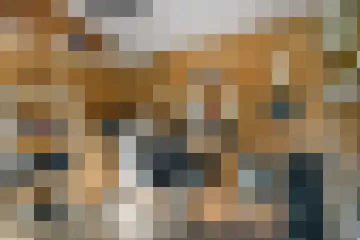 Belt 8 Hippolytushoef thumbnail 20