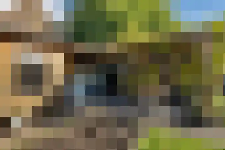 Belt 8 Hippolytushoef thumbnail 21