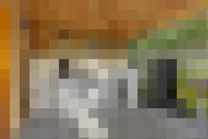Belt 8 Hippolytushoef thumbnail 22