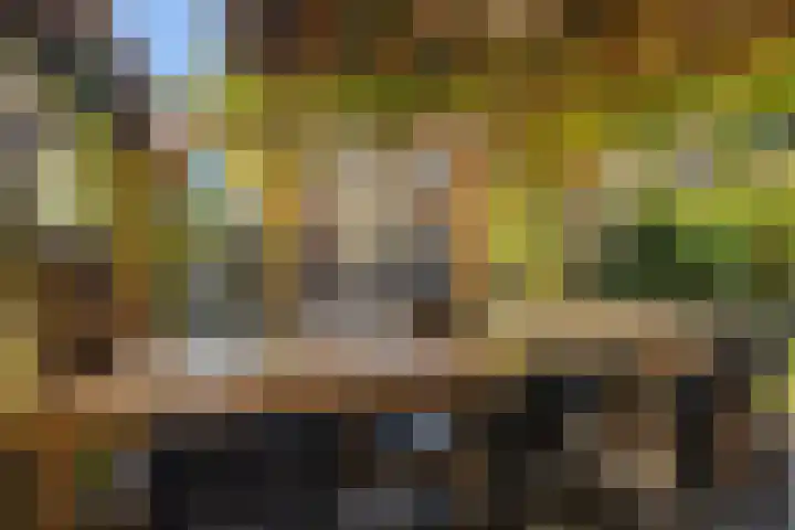 Belt 8 Hippolytushoef thumbnail 23