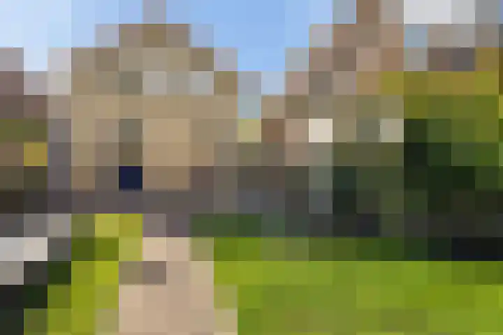 Belt 8 Hippolytushoef thumbnail 24