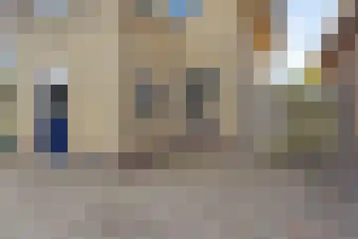 Belt 8 Hippolytushoef thumbnail 25