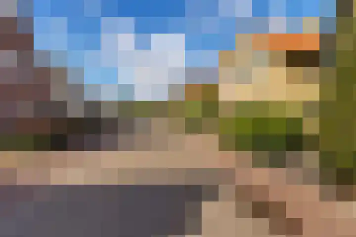 Belt 8 Hippolytushoef thumbnail 27