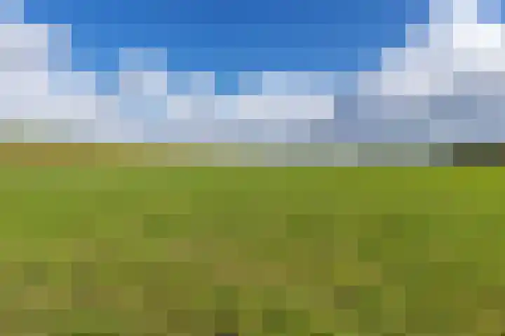 Belt 8 Hippolytushoef thumbnail 30