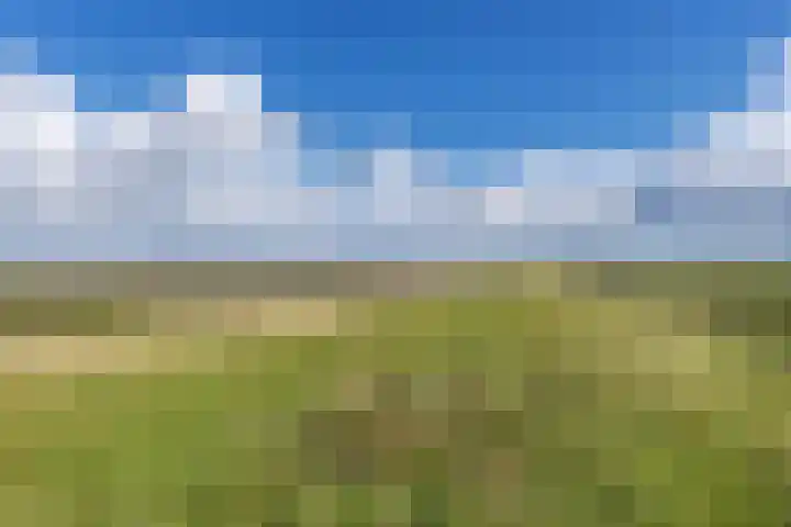 Belt 8 Hippolytushoef thumbnail 31