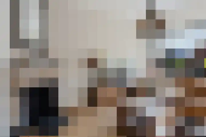 Belt 8 Hippolytushoef thumbnail 4