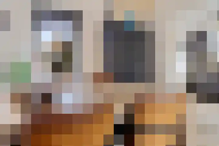 Belt 8 Hippolytushoef thumbnail 6