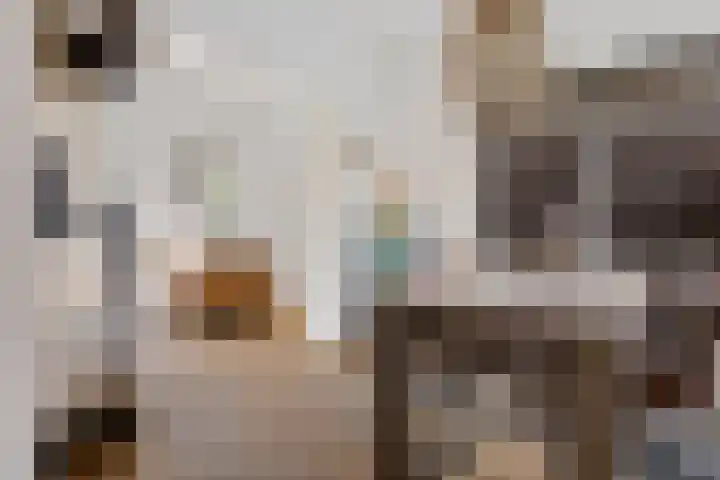 Belt 8 Hippolytushoef thumbnail 7