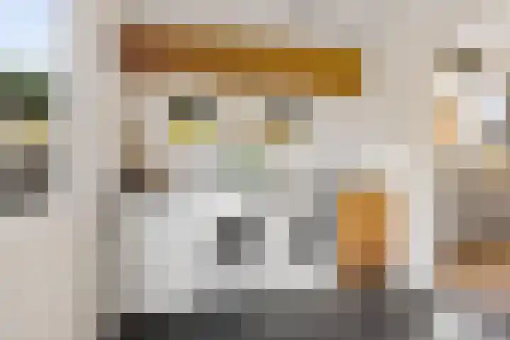 Belt 8 Hippolytushoef thumbnail 9