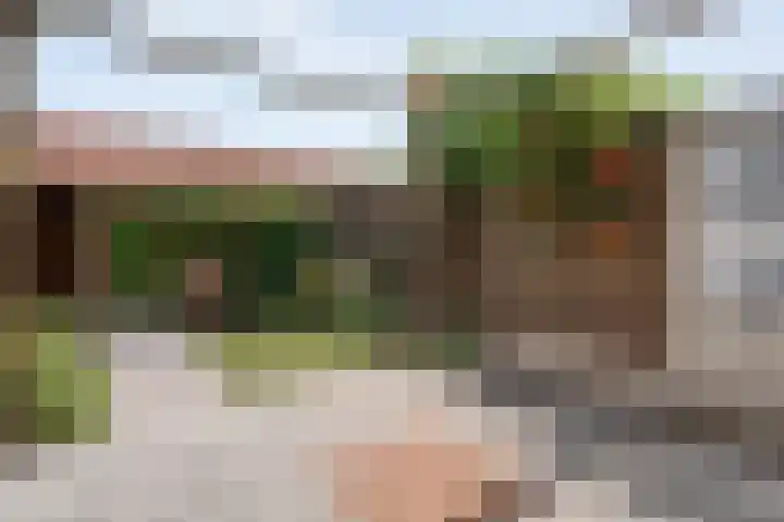 Beltenweg 28 Zwolle thumbnail 34