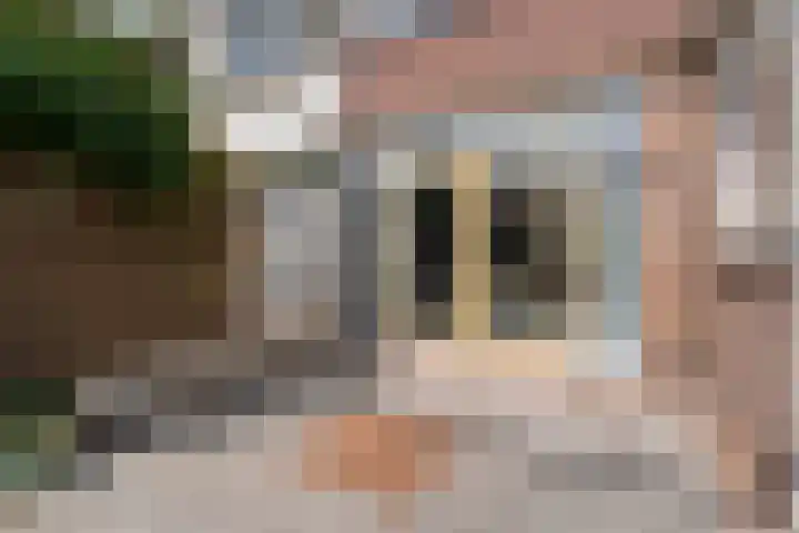 Beltenweg 28 Zwolle thumbnail 35