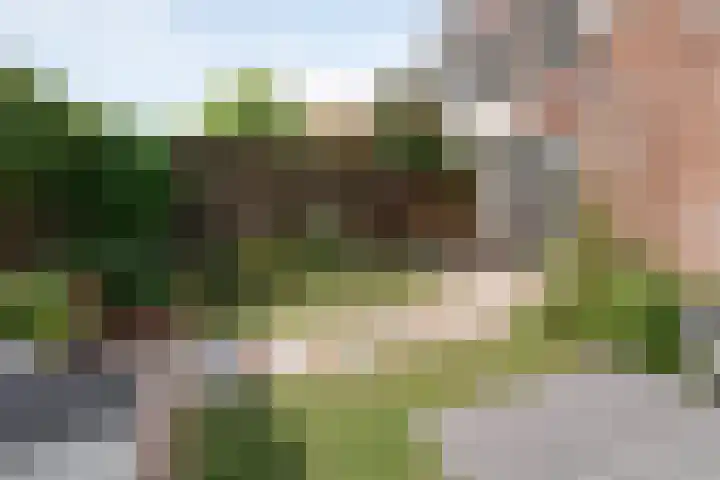 Beltenweg 28 Zwolle thumbnail 37
