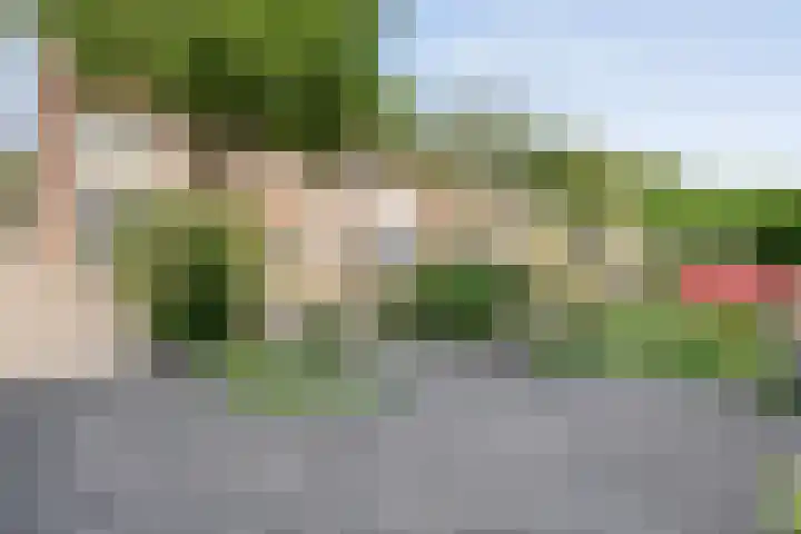 Beltenweg 28 Zwolle thumbnail 39