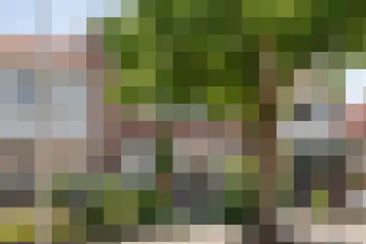 Beltenweg 28 Zwolle thumbnail 4