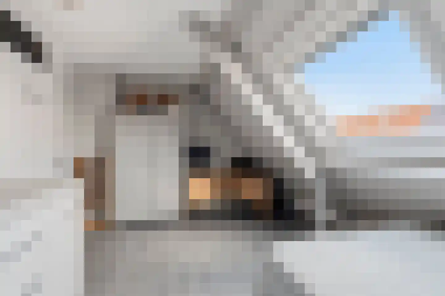 Belter Wijdestraat 19 Almere thumbnail 35