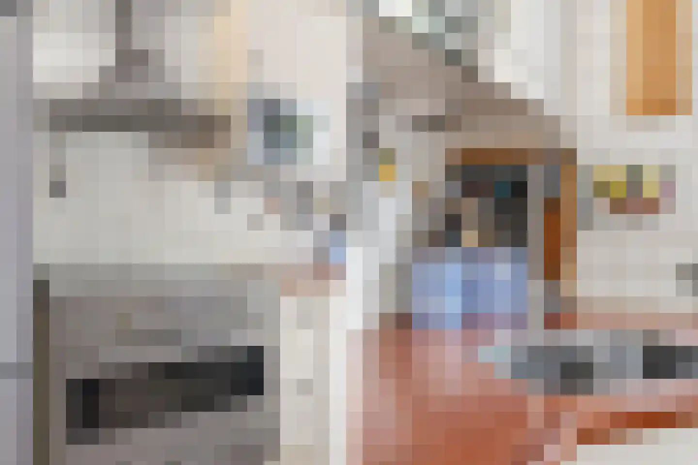 Belter Wijdestraat 22 Almere thumbnail 25