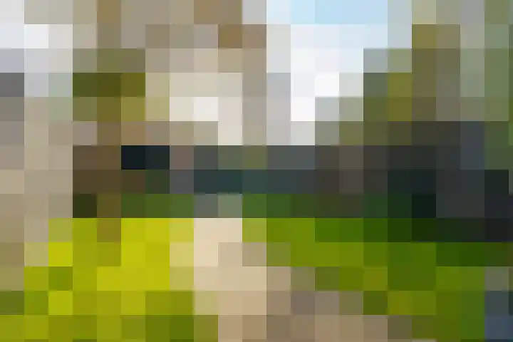 Belter Wijdestraat 8 Almere thumbnail 38