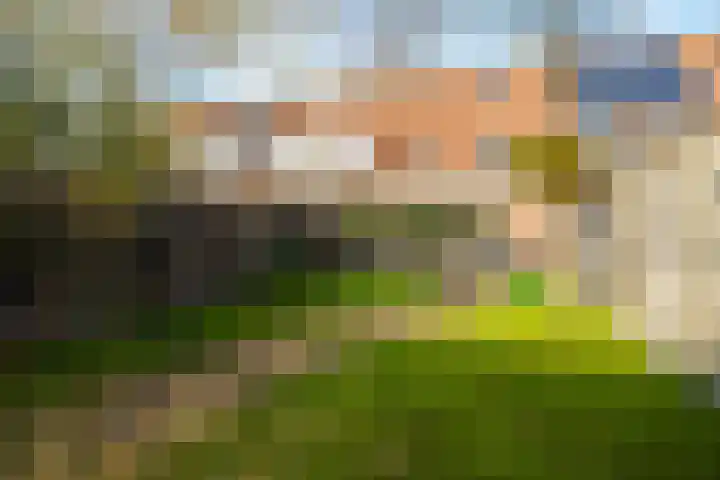 Belter Wijdestraat 8 Almere thumbnail 41
