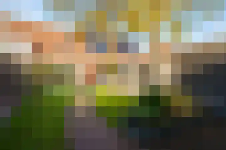 Belter Wijdestraat 8 Almere thumbnail 42