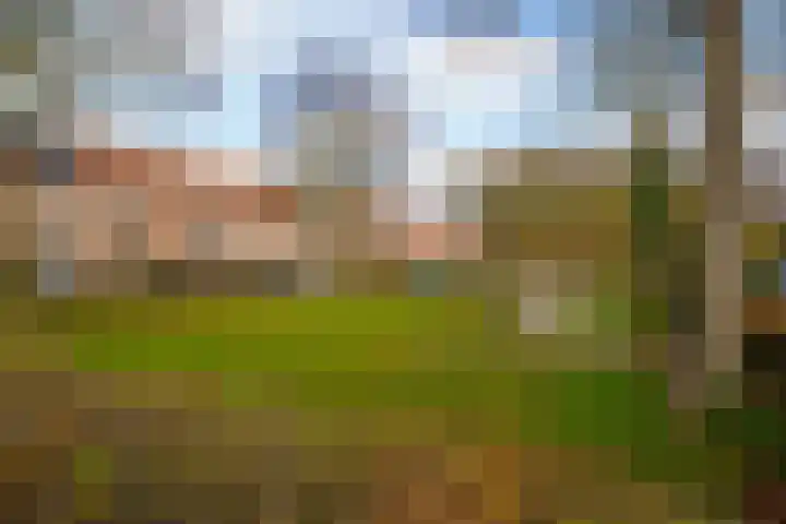 Belter Wijdestraat 8 Almere thumbnail 48