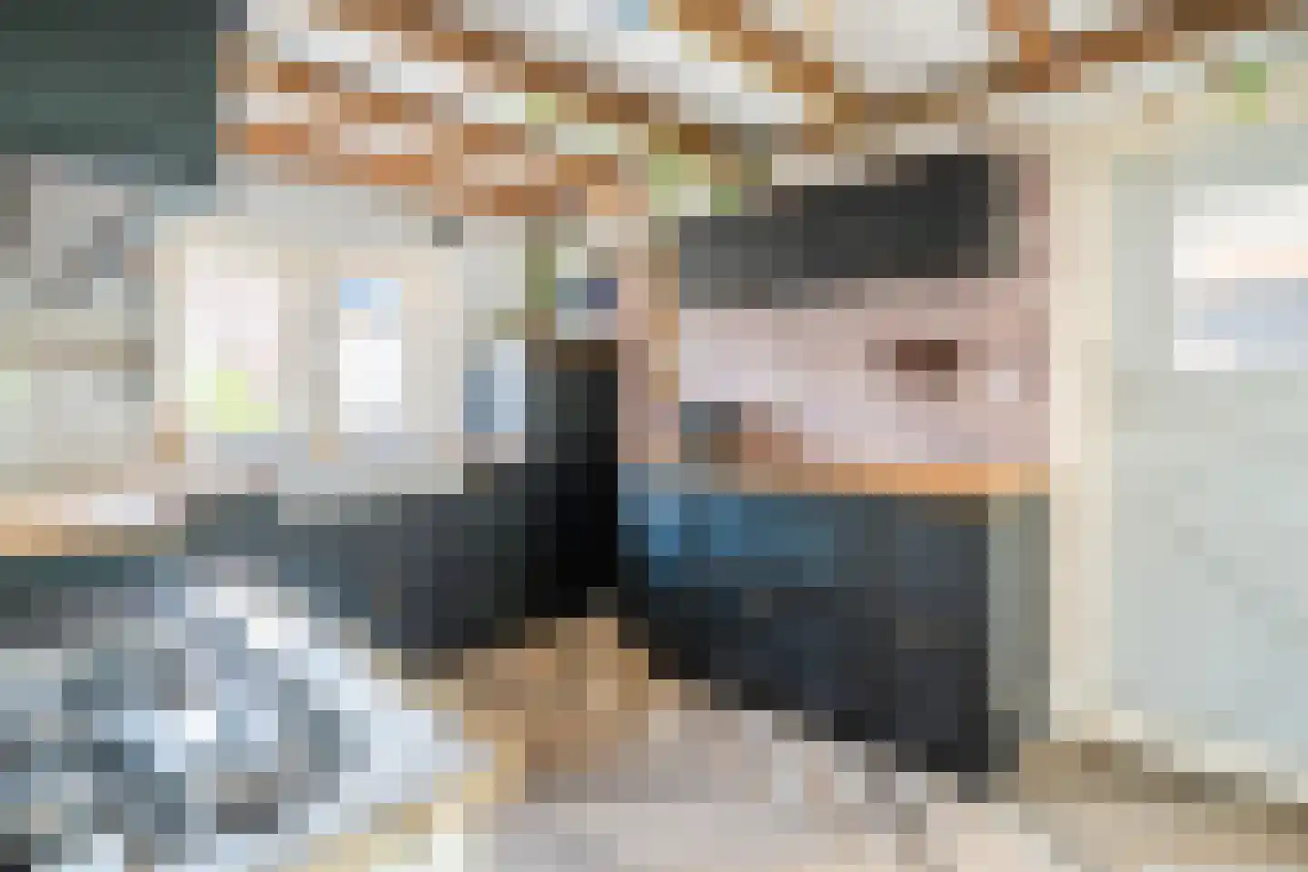 Belterlaan 12 Hippolytushoef thumbnail 11