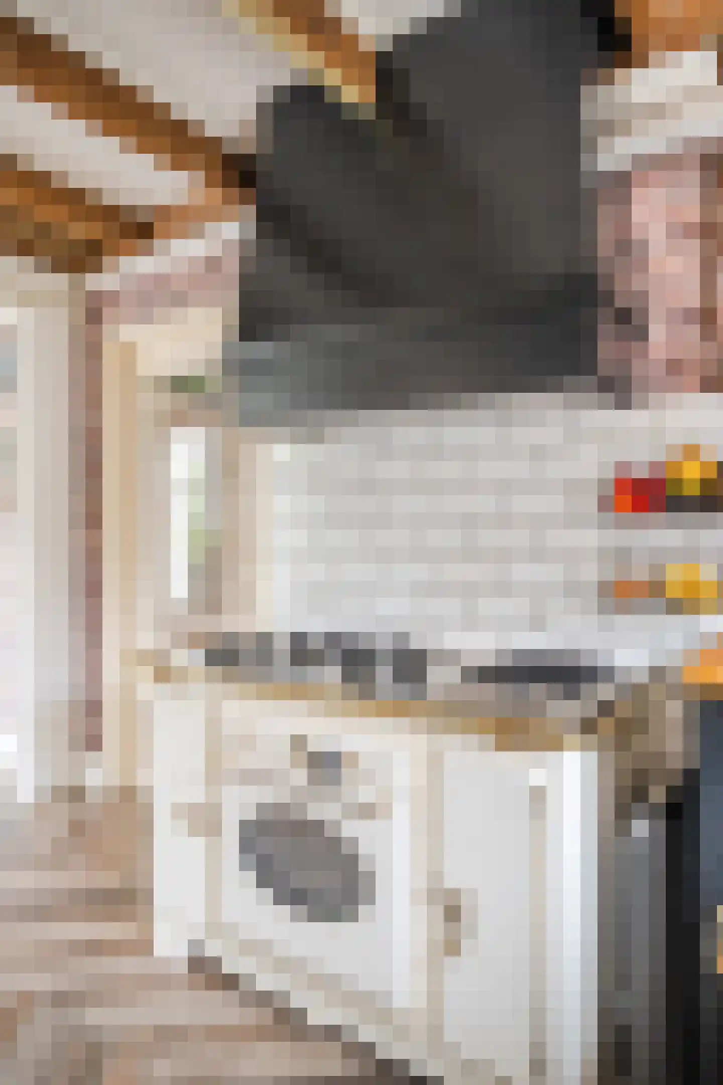 Belterlaan 12 Hippolytushoef thumbnail 13
