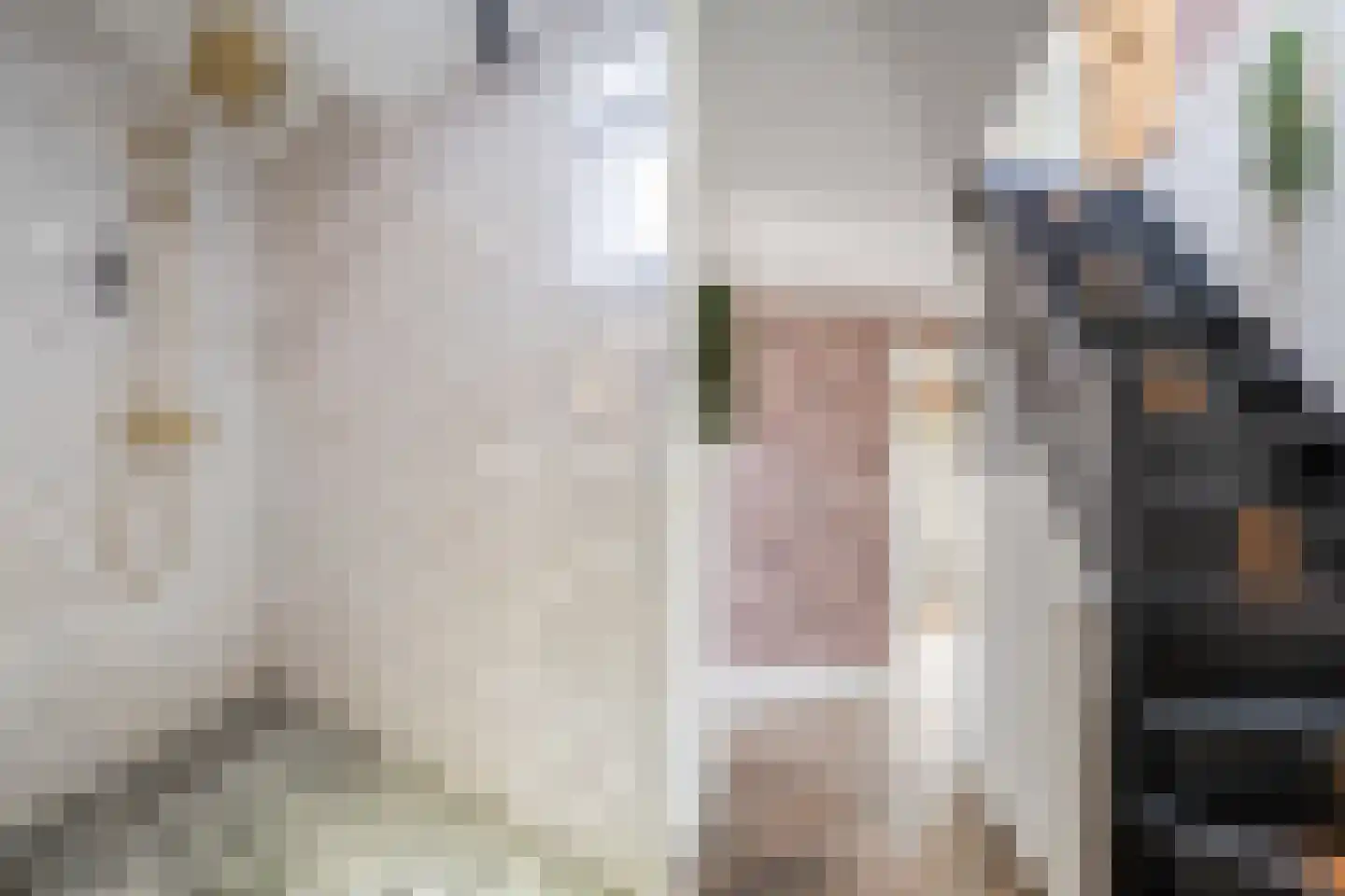 Belterlaan 12 Hippolytushoef thumbnail 23