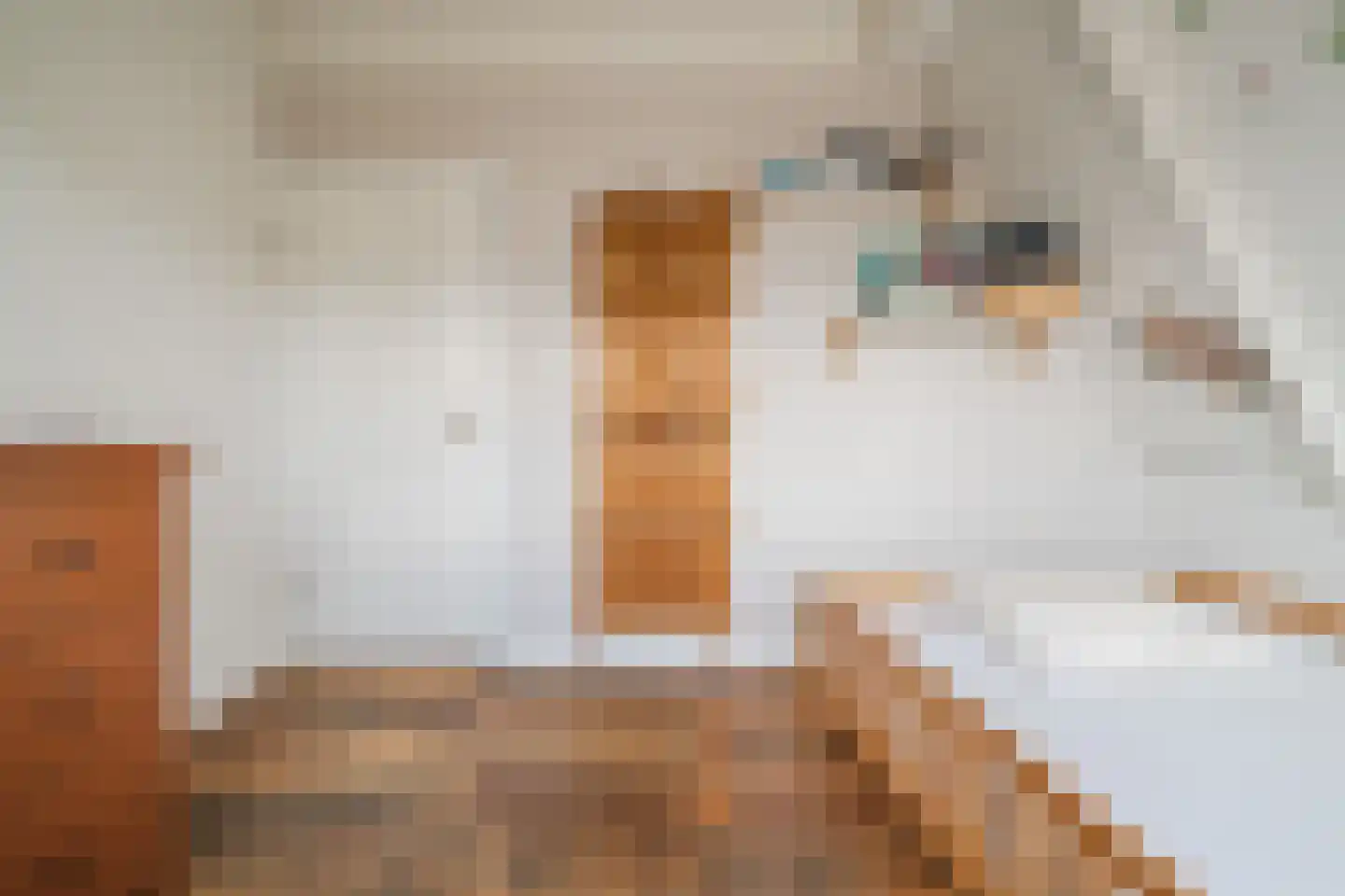 Belterlaan 12 Hippolytushoef thumbnail 32