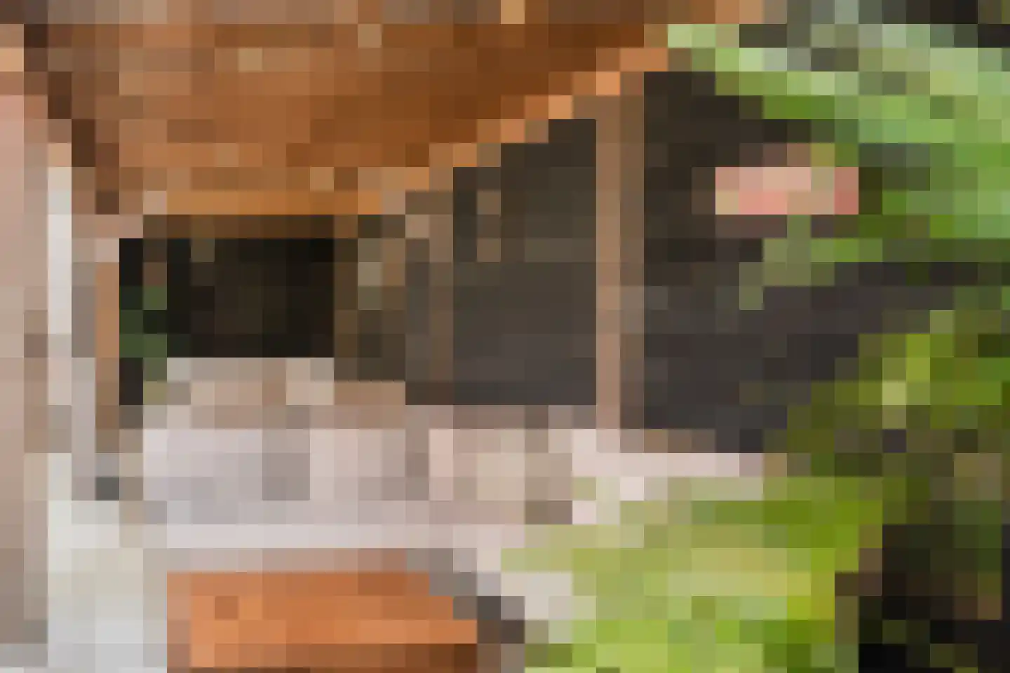 Belterlaan 12 Hippolytushoef thumbnail 5