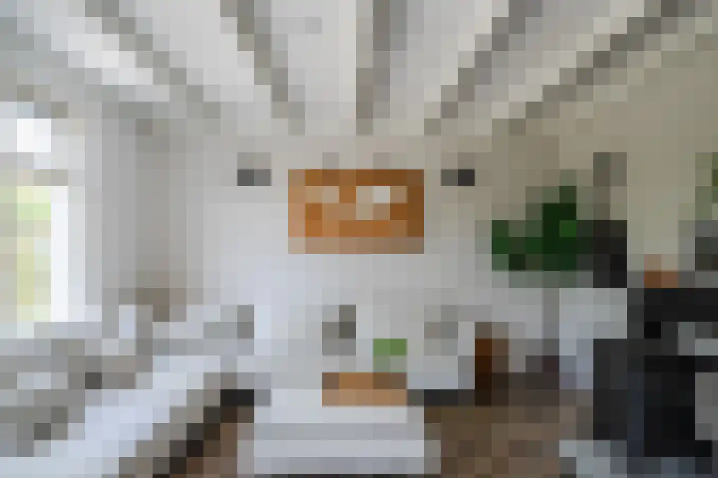 Belterlaan 12 Hippolytushoef thumbnail 7