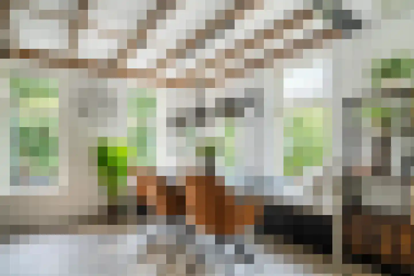 Belterlaan 12 Hippolytushoef thumbnail 8