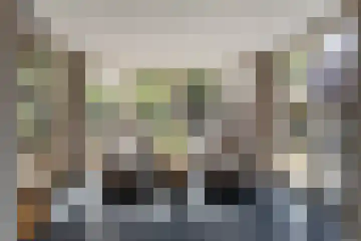 Belterlaan 16 Hippolytushoef thumbnail 10