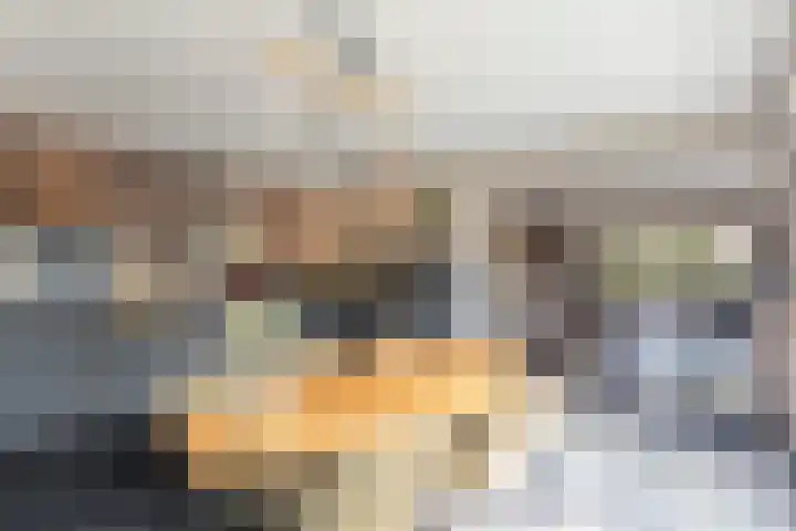 Belterlaan 16 Hippolytushoef thumbnail 12