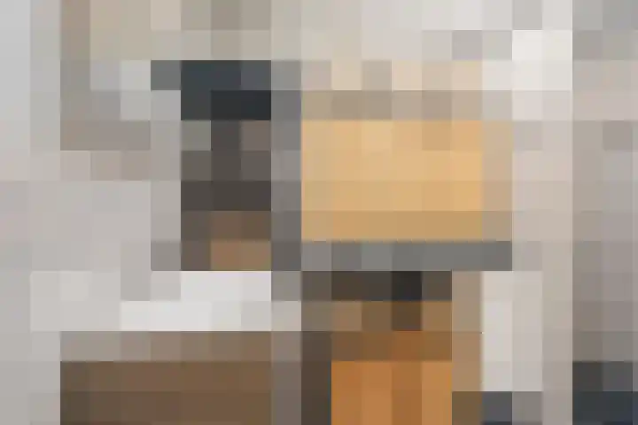 Belterlaan 16 Hippolytushoef thumbnail 16