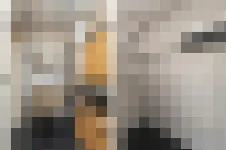 Belterlaan 16 Hippolytushoef thumbnail 17