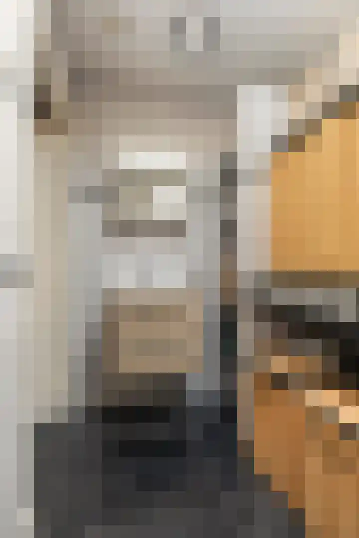 Belterlaan 16 Hippolytushoef thumbnail 18